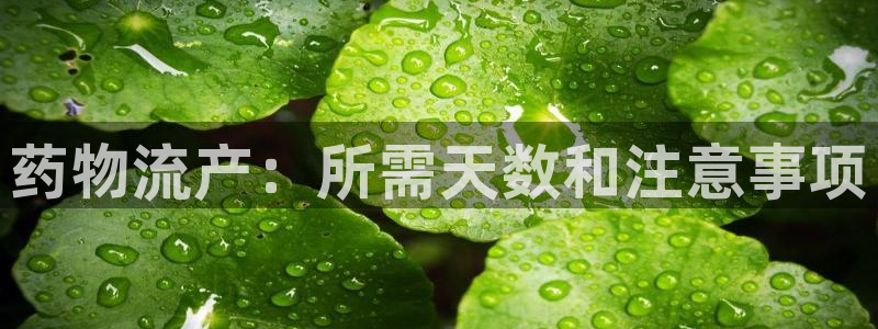 28圈加拿大技巧