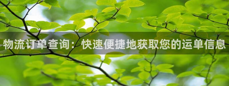 28圈注册二维码：物流订单查询：快速