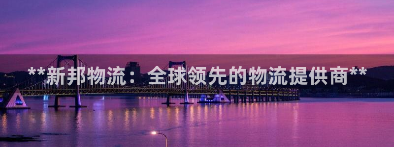 28圈p扣除：**新邦物流：全球领先