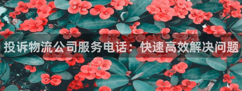 28圈注册官网：投诉物流公司服务电话