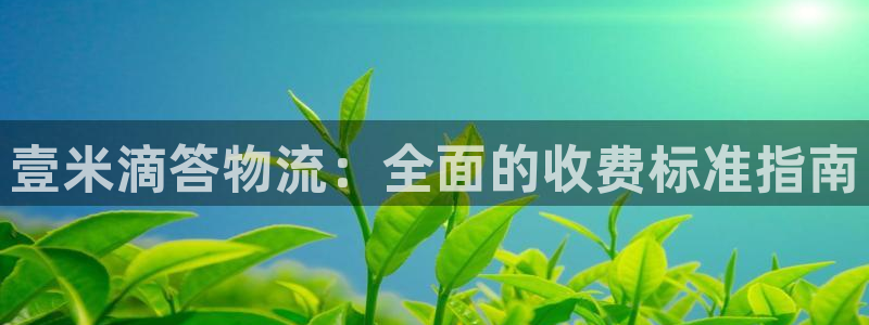 28圈登录不上咋回事：壹米滴答物流：