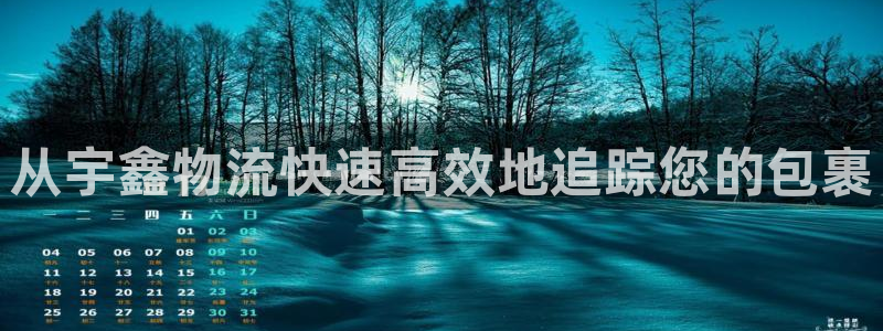 28圈p扣除：从宇鑫物流快速高效地追