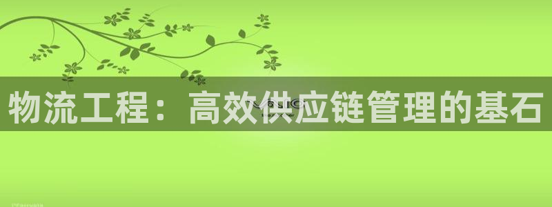 28圈加拿大能提现吗