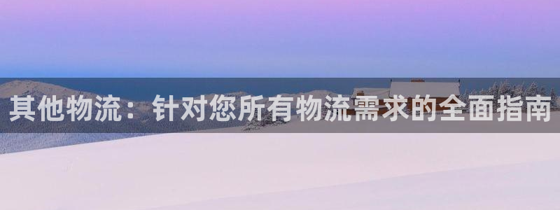 28圈游戏官网平台：其他物流：针对您