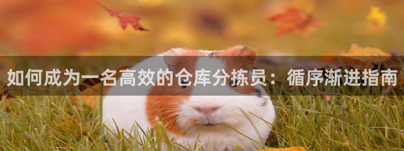 28圈注册账号:如何成为一名高效的仓